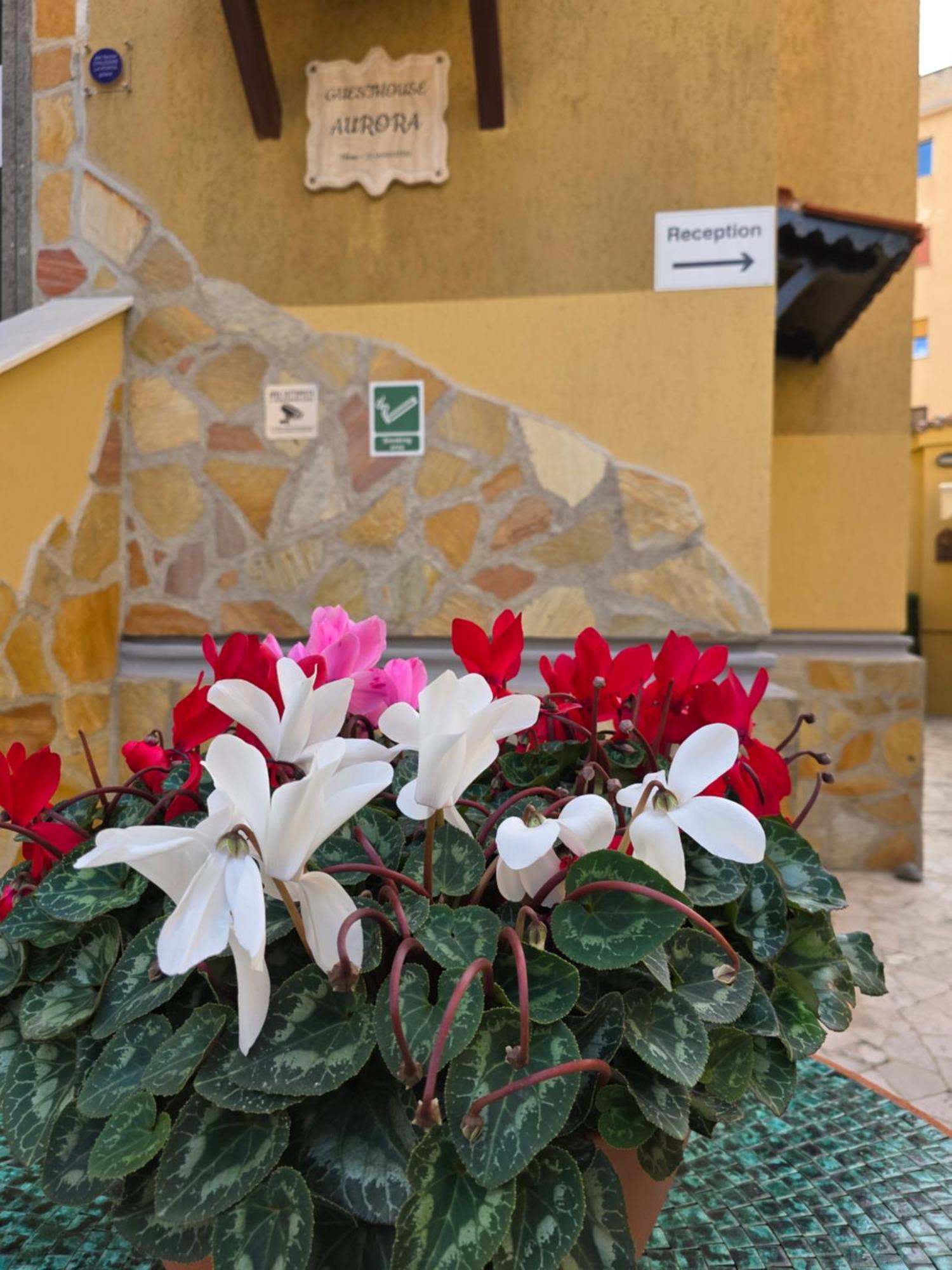 Guesthouse Aurora A.E. Rom Exterior foto